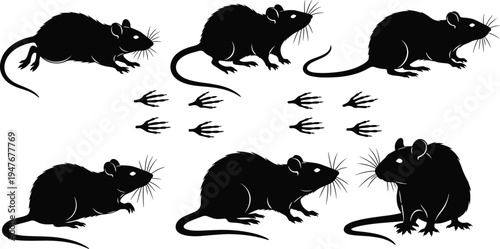 Set of rat silhouettes and footprints collection, black wild rodent icons, pest control elements, vector animal sketches for graphic design