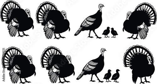 Set of turkey silhouettes and sketches collection, black farm poultry icons, Thanksgiving bird elements, vector wild turkey illustration for design