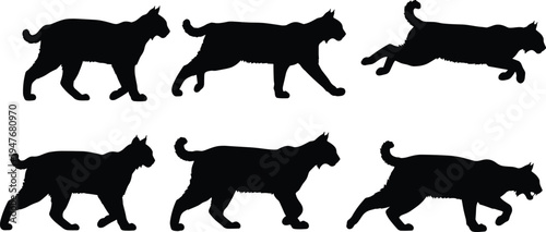 Lynx silhouette collection, wild bobcat walking and running bundle, feline predator shapes, woodland wildlife icons for nature adventure and hunting design 