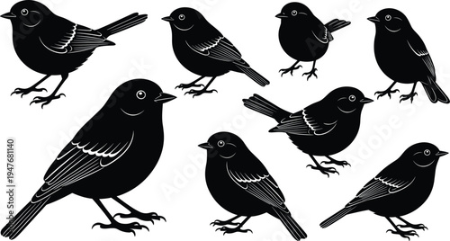 Set of black bird silhouettes and small sparrow icons isolated on white background for nature wildlife logo and graphic design,