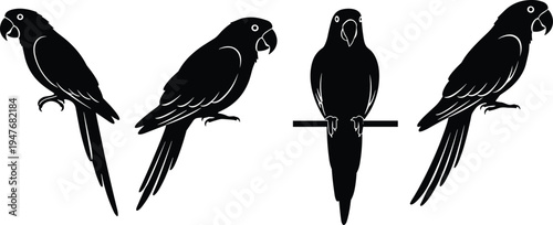 Parrot silhouette set with perched tropical bird poses isolated vector illustration for wildlife nature animal design collection