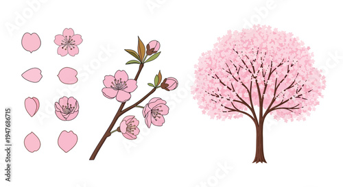 Illustration of a blossoming cherry tree with individual pink flowers