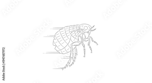 Detailed Outline Drawing of a Flea in Motion Against a White Background