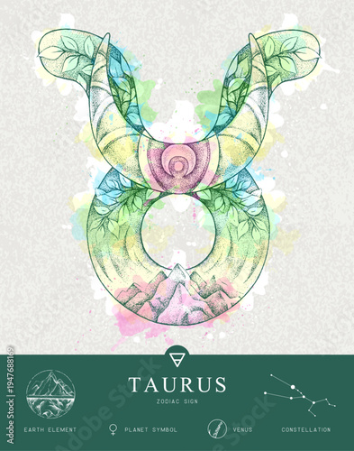 Modern magic witchcraft card with astrology Taurus zodiac sign characteristic. Hand drawing art product. Vector illustration