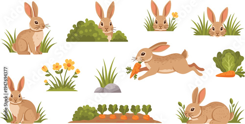 Wild rabbit in meadow vector illustration set with carrots grass bushes flowers and woodland nature animal scenes