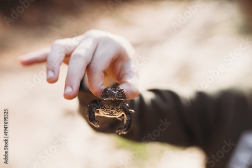 Close up of boy's hands holding toad in springtime
