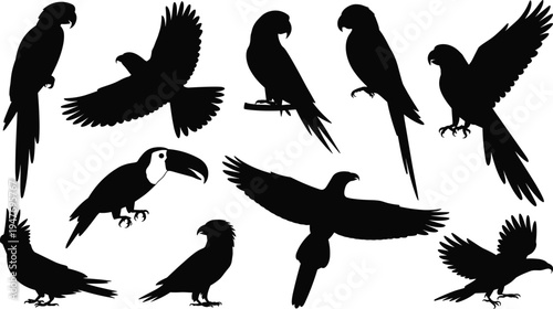 Collection of black silhouette birds including parrots eagles and toucans in various poses parrot silhouette