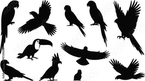 Collection of Silhouette Tropical Birds Including Parrots Toucan and Cockatoo Keywords: parrot silhouette toucan silhouette cockatoo silhouette macaw silhouette bird silhouette tropical