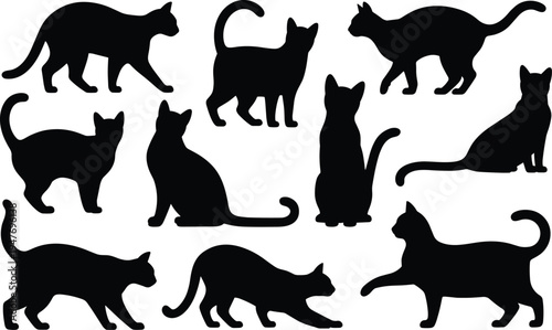 Diverse black cat silhouettes showcasing different postures and movements on a white background animal