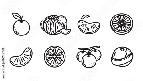 Citrus Fruit Icons: Whole Peeled Sliced and On Branch Black and White Line Art