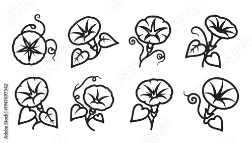 Collection of black and white line art illustrations of morning glory flowers and leaves