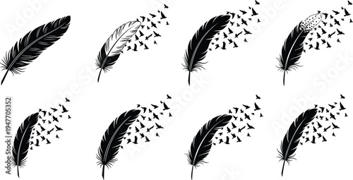 Feather and flying birds silhouette set, abstract feather transforming into flock of birds vector illustration for freedom, nature, tattoo, logo design