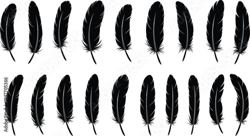 Feather silhouette collection vector illustration, realistic bird feathers isolated black feather icons for decoration, tribal design, nature elements and wildlife artwork