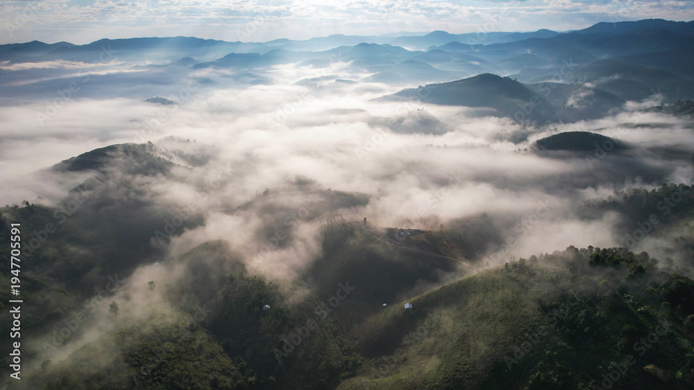Obraz premium Aerial view of mountains and forest with the sea of fog before sunrise by drone