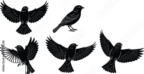 Flying black bird silhouette vector set, small songbird with spread wings and perched pose isolated for wildlife design, nature logo illustration