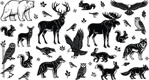 Forest wildlife animals vector illustration, bear deer moose wolf owl rabbit squirrel and birds collection isolated nature woodland animals for design