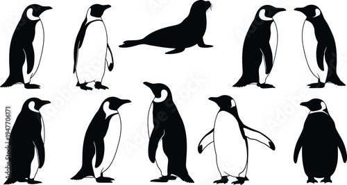 Penguin and seal silhouette collection, Antarctic wildlife animals vector set with standing penguins and sea lion for nature illustration design