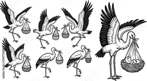 Stork delivering baby engraving illustration set, vintage flying stork carrying newborn in basket vector collection for birth announcement, nursery design