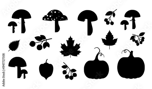 Autumn harvest flat vector objects with mushrooms pumpkins berries and leaves isolated set on white background