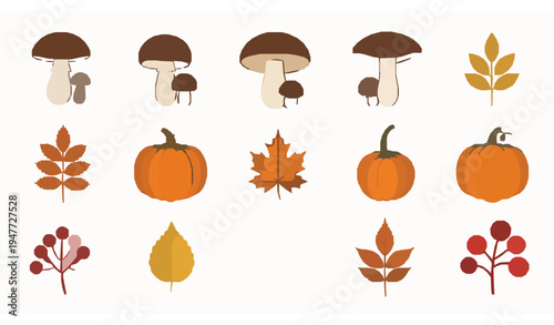 Autumn plants flat vector collection with mushrooms pumpkins leaves and berries isolated on white background