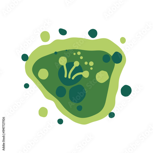 Microscopic mold colony in a damp indoor environment shows green and black fungus growth. Vector illustration.