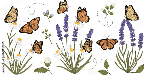 Monarch Butterflies Flying Around Wildflowers and Lavender Botanical Nature Illustration Set
