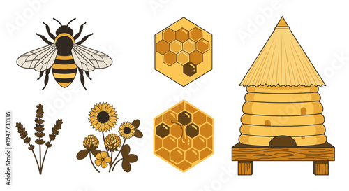 Bee and honeycomb illustrations set.
