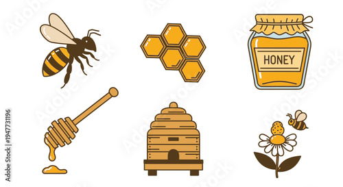 Bee Honey Production Illustration Set.