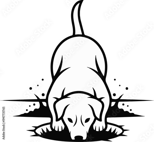 Playful canine in a crouch, ready to pounce on unseen prey