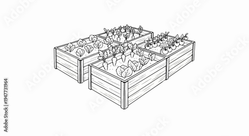 Raised garden beds filled with various vegetables and plants