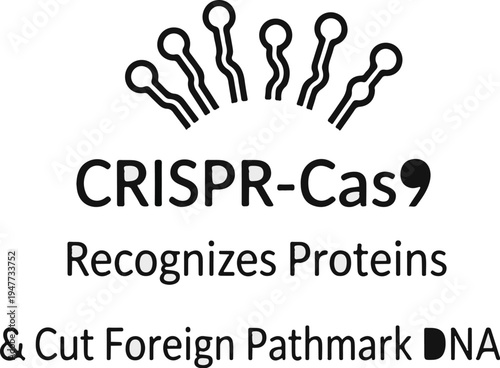 Scientific graphic illustrating CRISPR-Cas9's role in recognizing proteins and cutting DNA