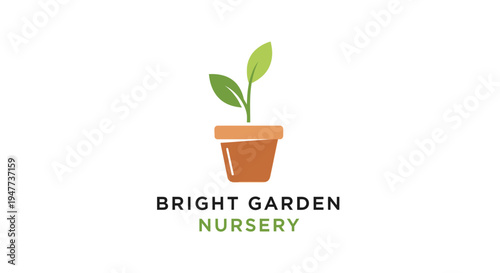 Small green plant in pot.