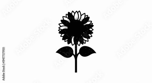 Silhouette of a single sunflower with leaves on a white background