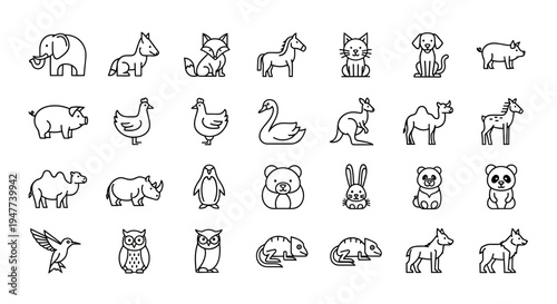 A collection of various animal illustrations in a simple, hand-drawn style, showcasing different species.