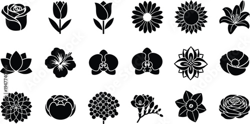 Black and white floral flowers silhouettes 9