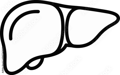 Simple line drawing of a human liver icon