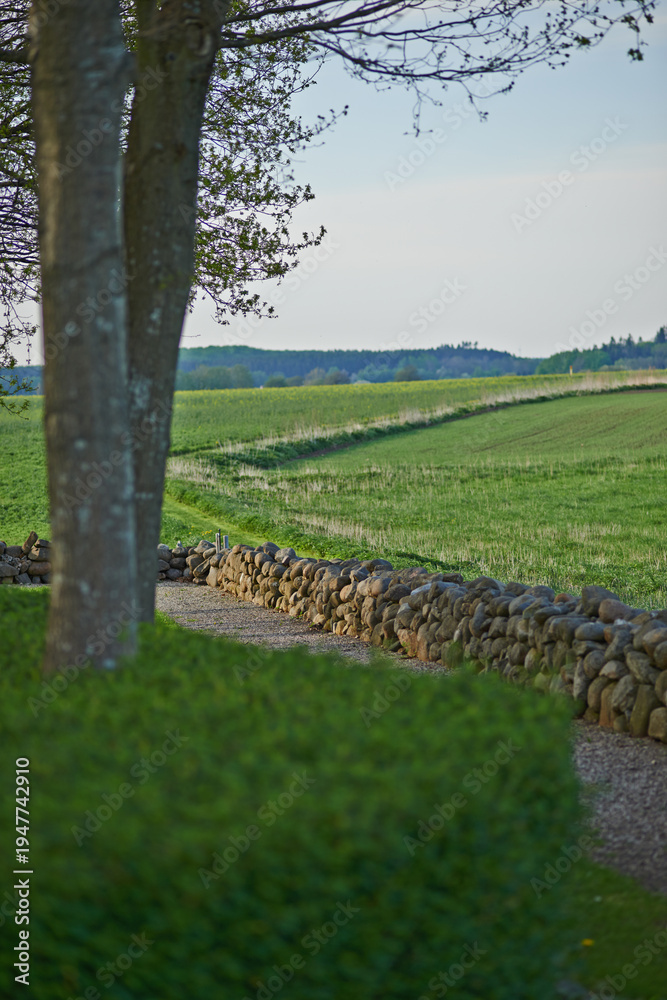Obraz premium Empty, field and path in nature, countryside and scenery of trees in environment, growth and outdoor. Farm, road and sustainability for agriculture, fresh air and view of landscape or peace in Poland