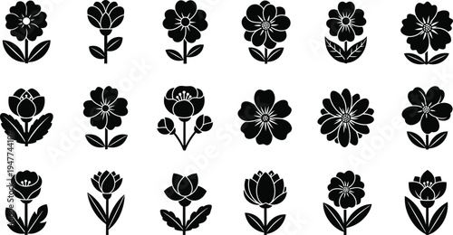 Black and white floral silhouettes flowers floral flower shapes white background