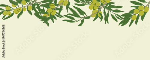 Olive branch border, cartoon flat vector illustration. Seamless border pattern of green olive fruits. Olive tree texture background with plant parts.