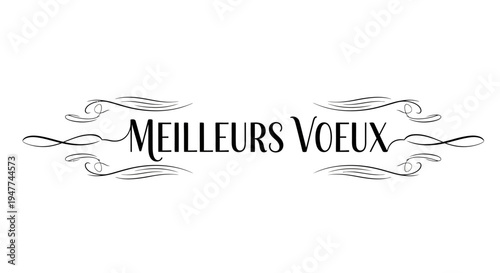 Elegant French "Meilleurs Voeux" Text with Ornate Decorative Flourishes