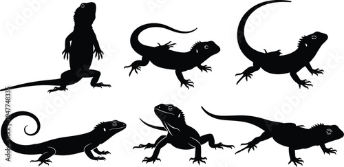 Lizard silhouette collection set, reptile animal different poses, black flat vector illustration isolated on white background design