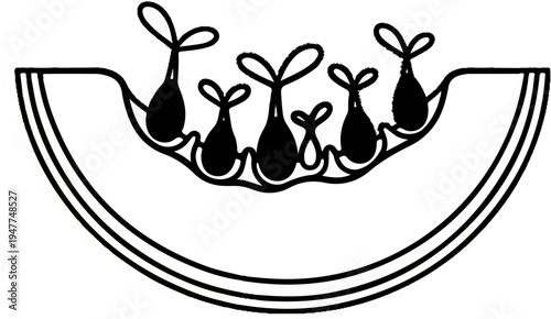 Stylized black and white illustration of a slice of fruit with seeds and a rind