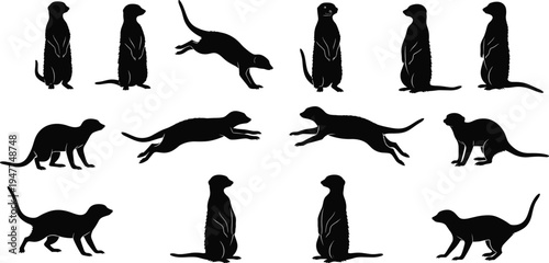 Meerkat silhouette set collection, standing and running poses, wild animal black flat vector illustration isolated on white background