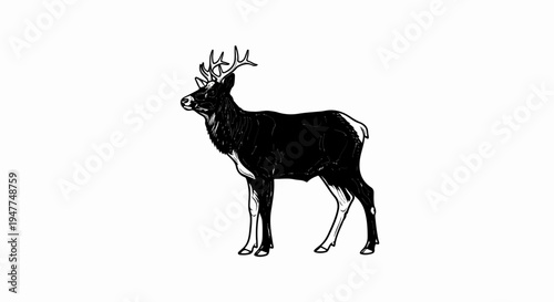 Stylized black and white illustration of a stag with prominent antlers