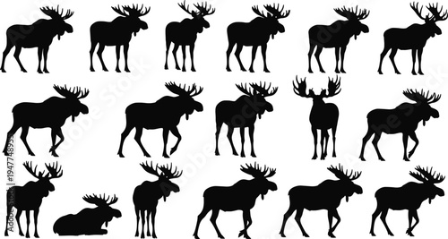 Moose silhouette collection set, wild elk deer different poses, black flat vector illustration isolated on white background