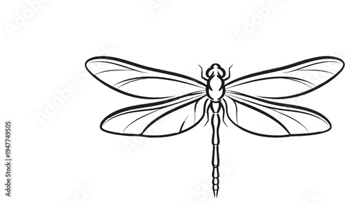 Stylized black and white sketch of a dragonfly with outstretched wings