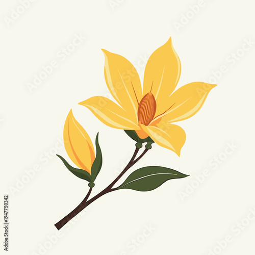 Yellow magnolia flower with buds on branch against light background  