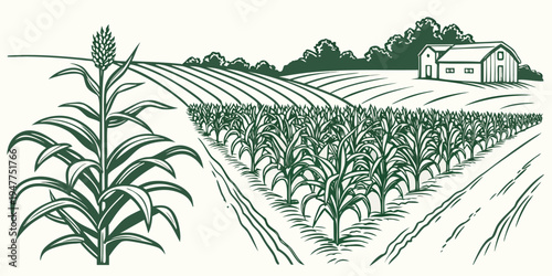 A green illustration of a cornfield with a farmhouse Vector