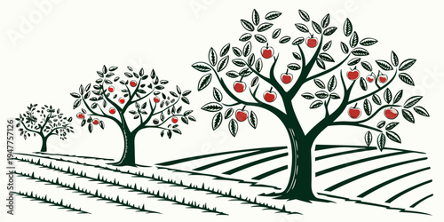 An apple orchard with trees and red apples Vector