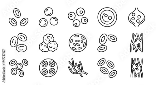 Comprehensive Outline Icons Collection Illustrating Human Blood Cells and Circulatory System Components for Medical Science and Biology Education